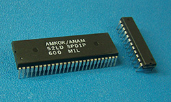 Dual In-Line Package (DIP)